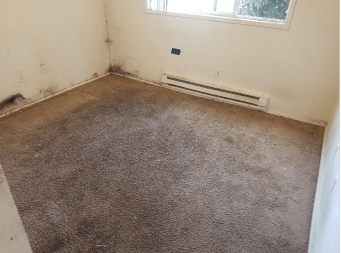 Moldy room with stained carpet and walls, baseboard heater, and window.