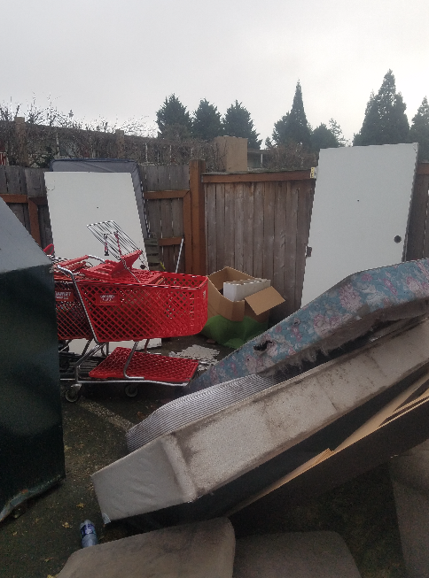 Backyard filled with discarded items: mattress, doors, red shopping cart, cardboard, fence, trees, overcast sky.