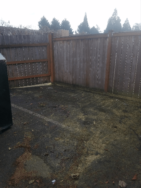 Dirt yard next to a weathered wooden fence.