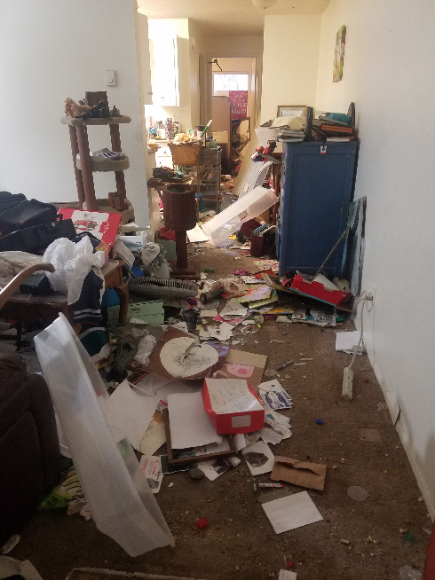 Cluttered interior room; debris scattered on floor, furniture obscured by mess. Hallway visible in the background.