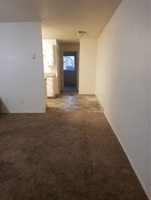 View of a dimly lit hallway with white walls and worn carpet. Kitchen is visible at the end.